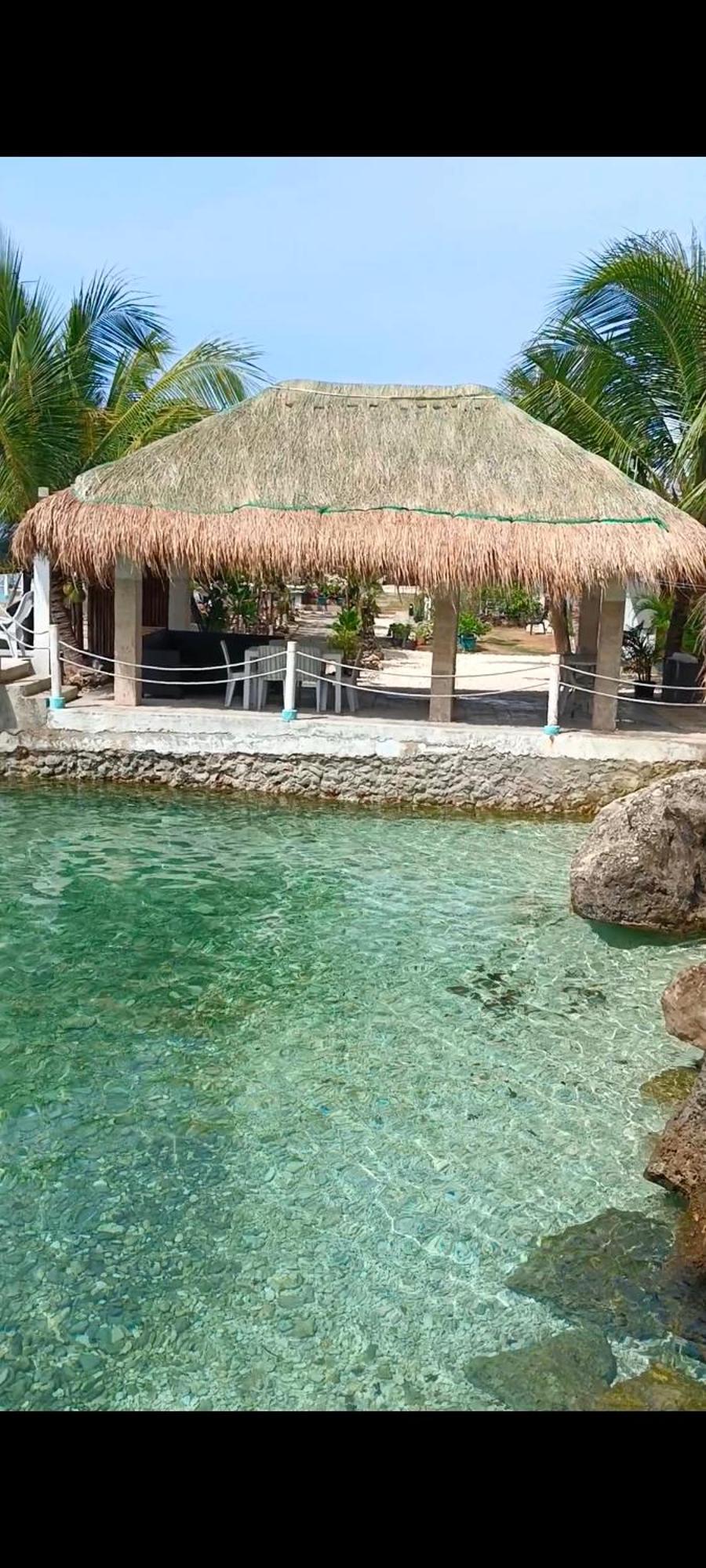 Seascape Beach Resort Oslob Eksteriør billede