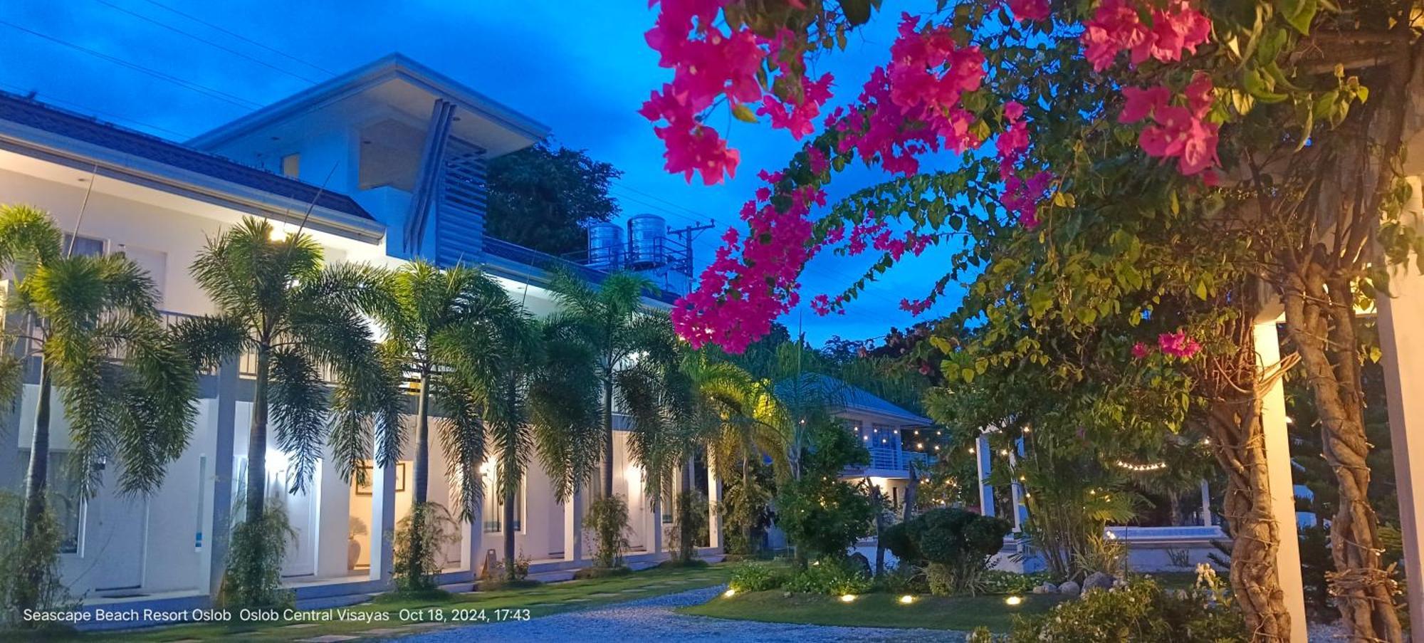 Seascape Beach Resort Oslob Eksteriør billede